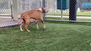 7.6K views · 199 reactions | 12/06 UPDATE 3:29pm. Abby is safe and...