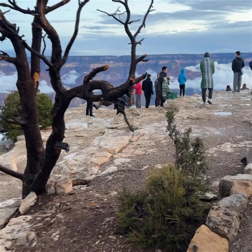 Happy Holidays! Planning your winter trip? Tusayan is your closest doorstep to the Grand Canyon. We want to make your journey seamless: Stay here, and easily connect to the unforgettable Polar Express experience in Williams, while being minutes from the National Park entrance. Find your comprehensive holiday guide and start planning your perfect adventure today! Blog https://grand-canyon-route66-centennial.com/the-polar-express-grand-canyon-tour-combo-the-ultimate-2-day-williams-az-package/ Tusa