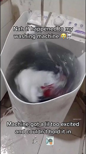 Instagram video by bepis • Nov 26, 2022 at 5:20 PM