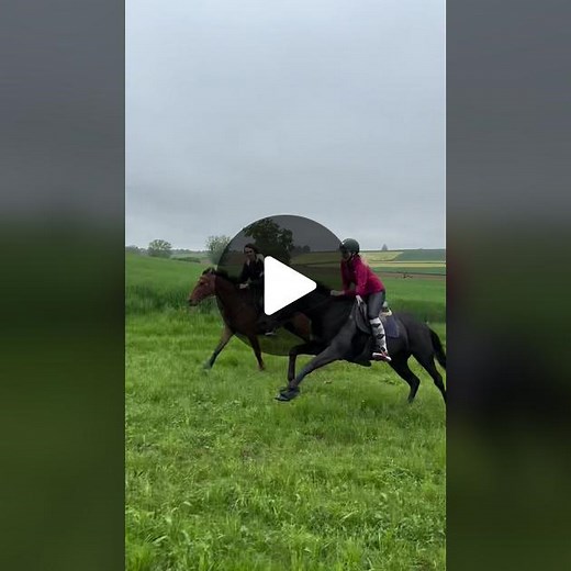 Лошади в движении: увлекательные моменты верховой езды