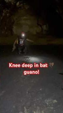 Knee deep in bat 🦇 guano 😆
