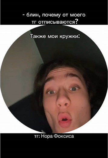 Нора Фоксиса: Чай и Забавные Моменты с Соседом