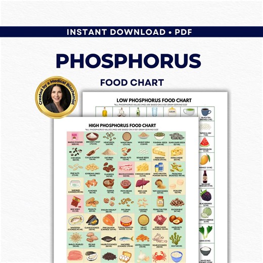 Tableau PDF des aliments riches en phosphore - Guide de régime rénal, liste de courses à faible teneur en phosphore, additifs CKD - Etsy France