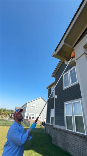 57K views · 116 reactions | Where Wasps Love to Hide ⚠️ That little opening near siding? That’s wasp central. Good pest control companies find these hotspots fast. And the best part… wasps always give away their hiding spots.  Comment “WASP” if you’ve ever found one of these near your house. #PestControlTips #WaspControl #PestInspection #HomeCare #DIYPestControl #PestSolutions #PestPrevention #WaspNest | Blue Duck Pest Control | Facebook