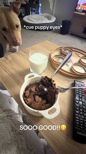 Ina Garten’s Viral Brownie Pudding Recipe Review