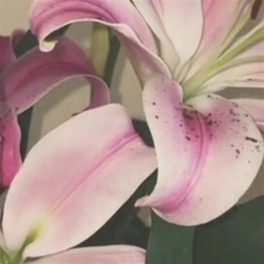 Effective Mood Boosting Stimboard Ideas