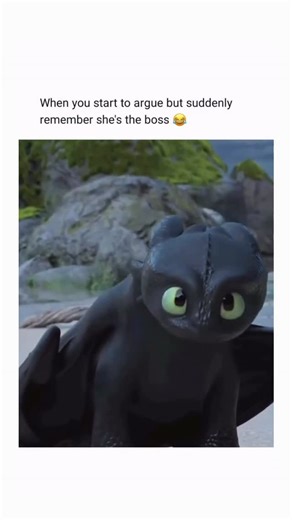 Lovercuddle on Instagram: "We all know who wears the pants in this relationship... 🐉💅 Toothless realizing he messed up is the most relatable thing ever! 😂 The Light Fury’s face in the first slide is pure “I told you so” energy. Who else loves the dynamic between these two in The Hidden World? Tag your “boss” (or the person who thinks they’re the boss)! Where to Watch: Stream the trilogy on Peacock or rent on Amazon Prime. Follow @vualgar for the funniest movie moments! #HowToTrainYourDragon #