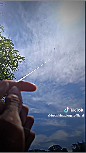 Mastering the Straight Line Kite Flight
