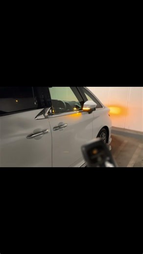 【アルファード】【裏技】【裏設定】【9選】ディーラーでしか変更できない!?車両カスタマイズ設定！！！🐶フレンチブルドッグの家族🐶 #Shorts