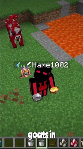 You Can Milk Goats in Minecraft