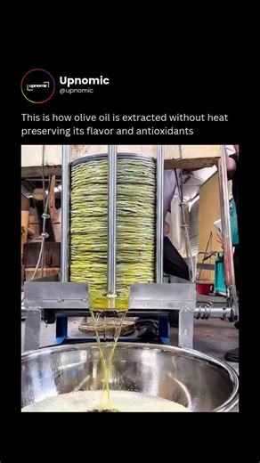 BUSINESS | TECH | NEWS | Extracting olive oil without heat is the difference between preserving nature and destroying it 🧬💧 This process, often referred to as cold... | Instagram