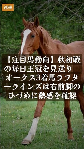 【競馬情報】2026/9/16 【注目馬動向】秋初戦の毎日王冠を見送り オークス3着馬ラフターラインズは右前脚のひづめに熱感を確認 #Shorts