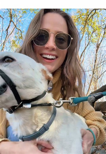 Discovering a Tree Swing Adventure