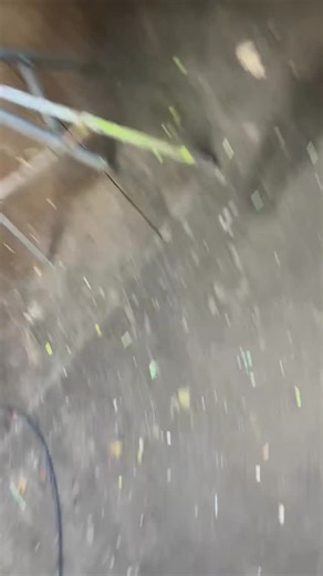 LiME LiNE Paint Supplies | timewarpcustompaint