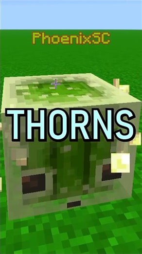 Putting THORNS inside a Sulfur Cube???