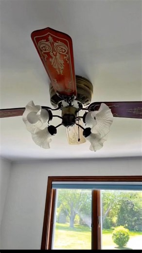 42 inch Unknown Ceiling Fan AI