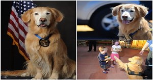 SPD Crisis Response K9, Fozzie, passes away