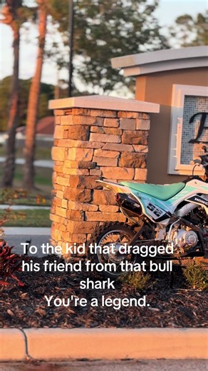 Heroic Rescue from Bull Shark Attack