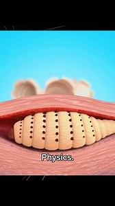 Amazing Physics Phenomena Explained