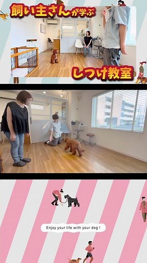 子犬のしつけ成功の秘訣は飼い主さんでした