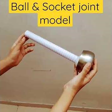 How Ball and Socket Joint Let You Move Like This #ball&socket