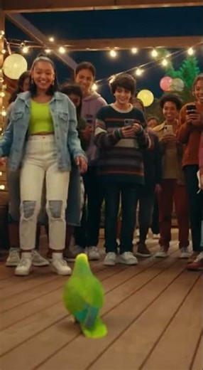 Parrot’s Trendy Dance at a Party