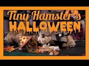 Obviously Pizza Rat Is a Hit at Tiny Hamster Halloween