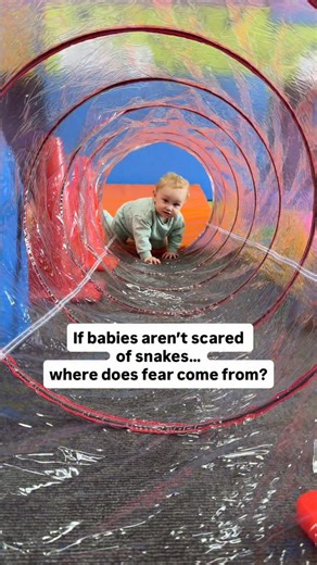 Elen | The Postpartum Society on Instagram: "When it comes to baby development, fear is important too. It’s how the brain learns to stay safe. In early baby development, fear and safety grow together. Most fears aren’t inborn - they’re learned through how babies read our faces, tone, and reactions. What research shows: 🧠 The only two fears present from birth are falling and loud sounds 🧠 Babies aren’t born afraid of snakes they’re curious instead. 🧠 Fear develops later, once they see fear in 
