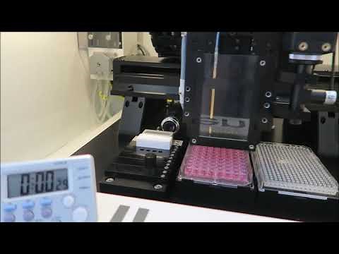 cellenONE X1 dispensing in 96 well plate