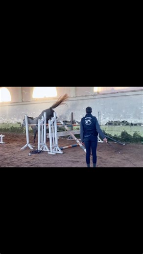 2021 living sculptures édition Columbus Z x Allegretto Mare | Horse Transit Stables Normandy