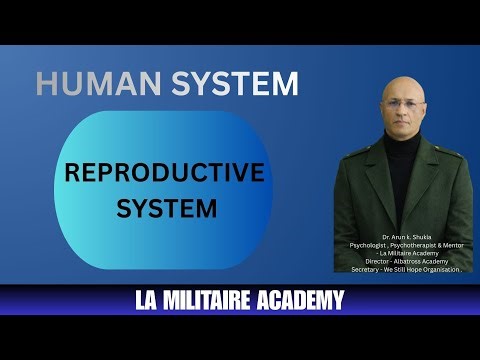 Human Reproductive System – Structure, Functions and Biological Significance