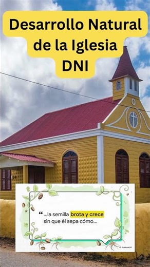 ¿Qué es el Desarrollo Natural de la Iglesia? Definición y comentario