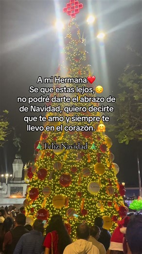 Muy pronto estaré contigo hermanita te extraño ❤️😔🥹#paratiiiiiiiiiiiiiiiiiiiiiiiiiiiiiii #navidad #hermana #navidadentiktok #familia