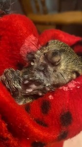 2.3K views · 115 reactions | Let's talk about aspiration. There are...