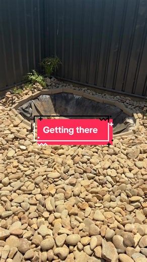 Pond Update: Building and Maintaining Your Backyard Oasis