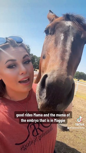 Meet Goody Goody Gumdrops🐴 | Katie Van Slyke