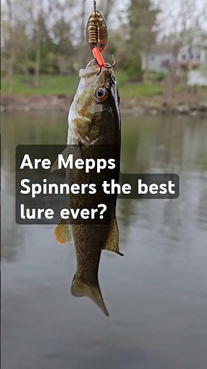Are Mepps Spinners the best lure ever?