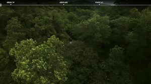 DJI Avata 2 如何开启 M 挡（手动挡）？