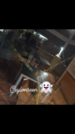 🦗✨ Met this Goliath Stick Insect outside my window🇦🇺! 😲🌿 At first, I thought it was just a stick — until it moved! 👀 One of the largest stick insects in the world, this gentle giant is a true master of camouflage. 🌳💚 If you’re curious, you’ll notice the magic of nature right before your eyes. ✨🍃 #GoliathStickInsect #AustraliaWildlife #CamouflageMaster #NatureLovers #StickInsect #WildlifePhotography #Biodiversity #AmazingNature #InsectWorld #AussiSeen | ceylonseen