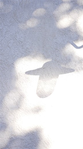 La bastide d'Antoine Mood