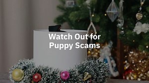 🎉 Don’t let scammers play Grinch! Fake giveaways and delivery messages can ruin your Christmas. Learn to recognize the top 8 holiday frauds so you can celebrate safely and worry-free! 🎁https://bitdefend.me/3VM15hz | Bitdefender