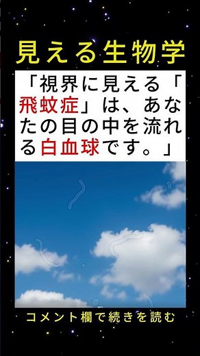 視界に見える「飛蚊症」は、実はあなた自身の白血球です😳