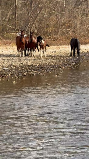 9.1K views · 15 reactions | Eminence Trailrides on Reels | Facebook