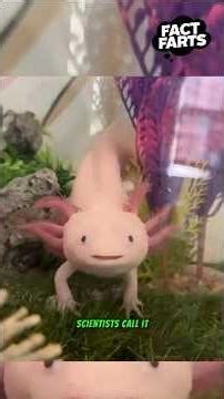 25 Shocking Animal Facts You Didn't Know! 🔥