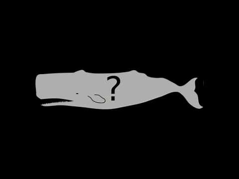 World's Loneliest Whale for 1 Hour ( 52 hz Whale Song Actual Speed )