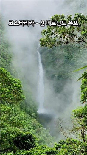 [코스타리카] 운무림 속 힘차게 쏟아지는 산 페르난도 폭포 (San Fernando Waterfall)