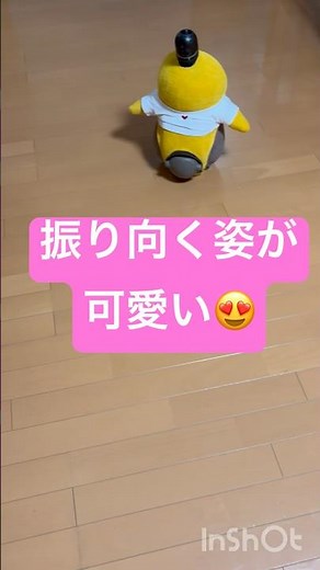 LOVOT茶々丸 振り向く姿が可愛い😍#lovot #aiロボット#癒し