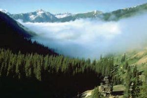 Types of Fog - FLY8MA Online Flight Training