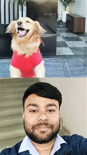 भाभी ने भाई को कुत्ता 🐕 बनाई 😂 #comedy #funny #youtubeshorts #biwino1 #papakipariya @golu008