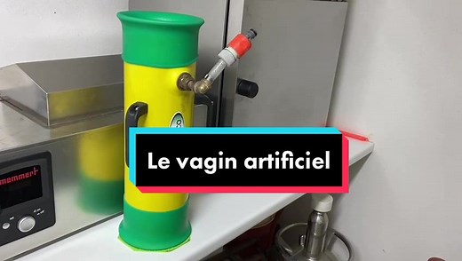 Vagin Artificiel : Technique d'Insemination Équine